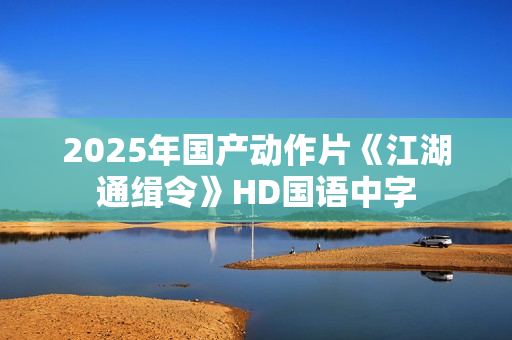 2025年国产动作片《江湖通缉令》HD国语中字
