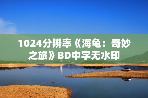 1024分辨率《海龟：奇妙之旅》BD中字无水印