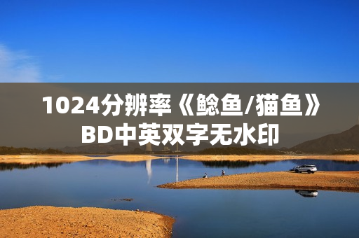 1024分辨率《鲶鱼/猫鱼》BD中英双字无水印