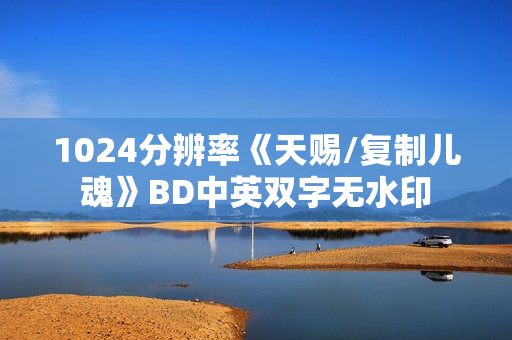 1024分辨率《天赐/复制儿魂》BD中英双字无水印