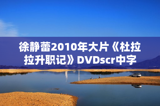 徐静蕾2010年大片《杜拉拉升职记》DVDscr中字