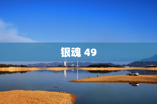 银魂 49