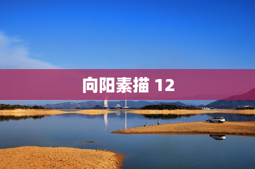 向阳素描 12