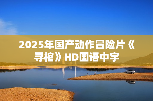2025年国产动作冒险片《寻棺》HD国语中字