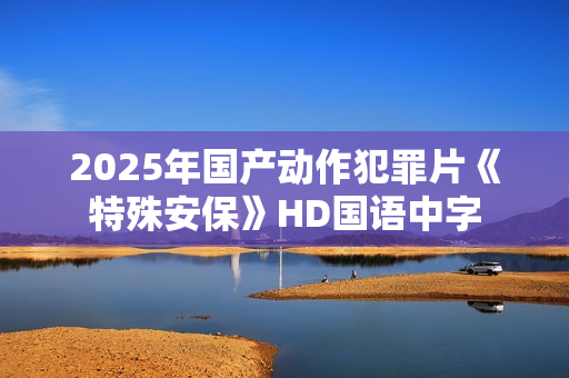2025年国产动作犯罪片《特殊安保》HD国语中字
