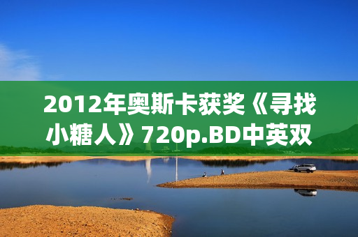 2012年奥斯卡获奖《寻找小糖人》720p.BD中英双字幕