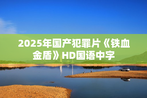 2025年国产犯罪片《铁血金盾》HD国语中字