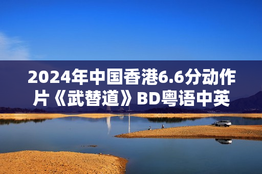 2024年中国香港6.6分动作片《武替道》BD粤语中英双字