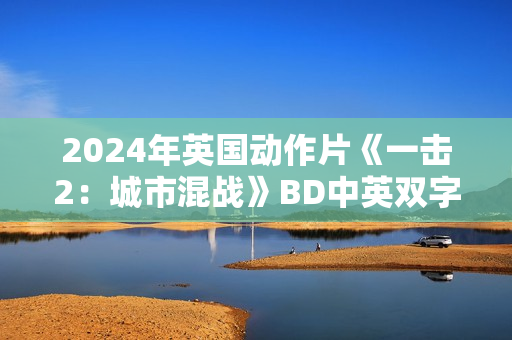 2024年英国动作片《一击2：城市混战》BD中英双字