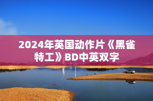 2024年英国动作片《黑雀特工》BD中英双字