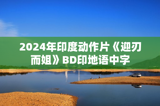 2024年印度动作片《迎刃而姐》BD印地语中字