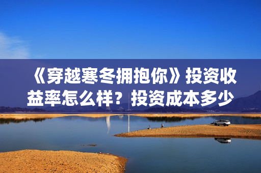 《穿越寒冬拥抱你》投资收益率怎么样？投资成本多少？(穿越寒冬拥抱你百度百科)