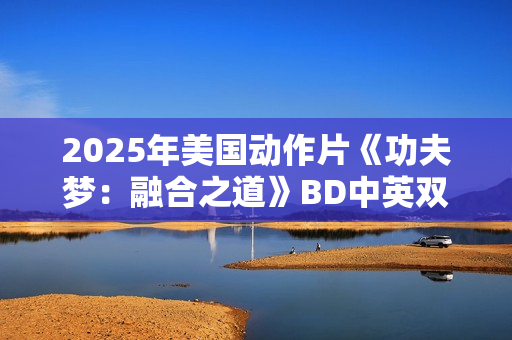 2025年美国动作片《功夫梦：融合之道》BD中英双字