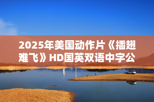 2025年美国动作片《插翅难飞》HD国英双语中字公映版