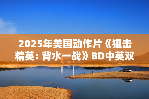 2025年美国动作片《狙击精英: 背水一战》BD中英双字