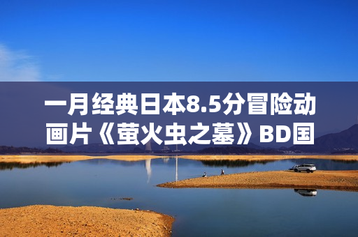一月经典日本8.5分冒险动画片《萤火虫之墓》BD国粤日3语中字
