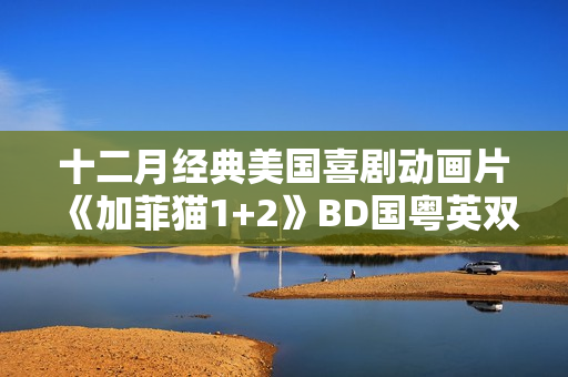 十二月经典美国喜剧动画片《加菲猫1+2》BD国粤英双字