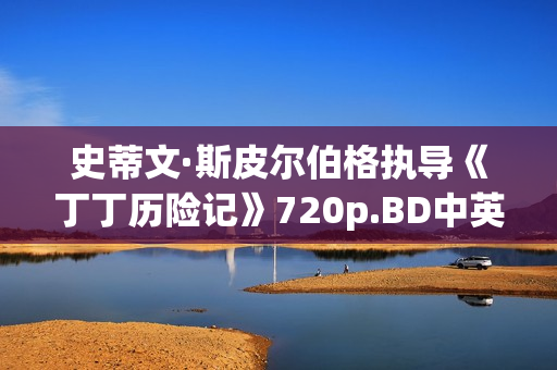 史蒂文·斯皮尔伯格执导《丁丁历险记》720p.BD中英双字