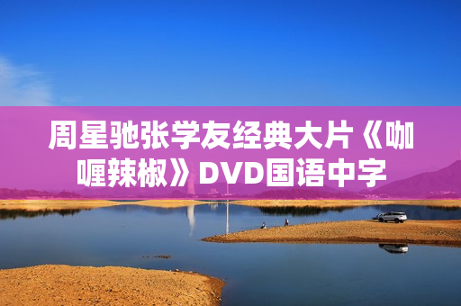 周星驰张学友经典大片《咖喱辣椒》DVD国语中字