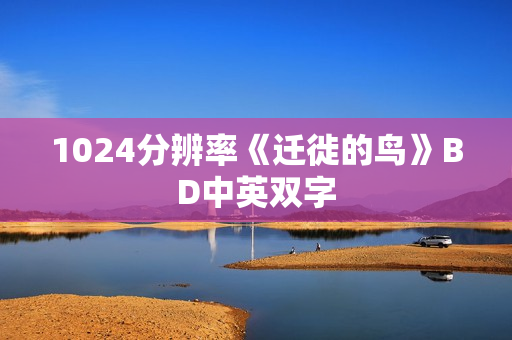 1024分辨率《迁徙的鸟》BD中英双字