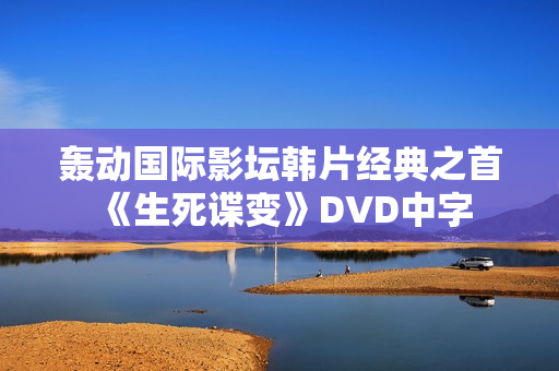 轰动国际影坛韩片经典之首《生死谍变》DVD中字
