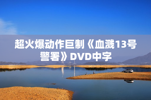 超火爆动作巨制《血溅13号警署》DVD中字