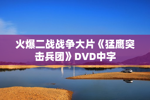 火爆二战战争大片《猛鹰突击兵团》DVD中字