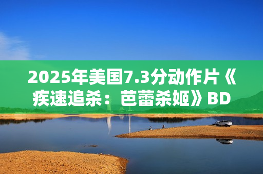 2025年美国7.3分动作片《疾速追杀：芭蕾杀姬》BD国英双语双字