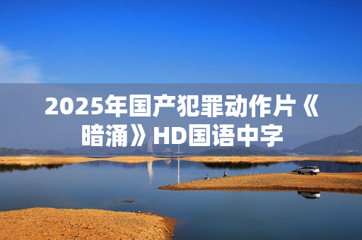 2025年国产犯罪动作片《暗涌》HD国语中字