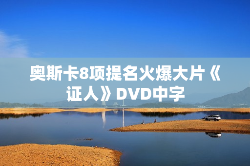 奥斯卡8项提名火爆大片《证人》DVD中字