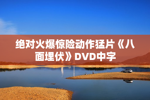 绝对火爆惊险动作猛片《八面埋伏》DVD中字