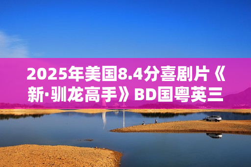 2025年美国8.4分喜剧片《新·驯龙高手》BD国粤英三语中英双字