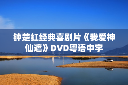 钟楚红经典喜剧片《我爱神仙遮》DVD粤语中字