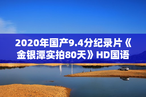 2020年国产9.4分纪录片《金银潭实拍80天》HD国语中字