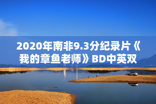 2020年南非9.3分纪录片《我的章鱼老师》BD中英双字