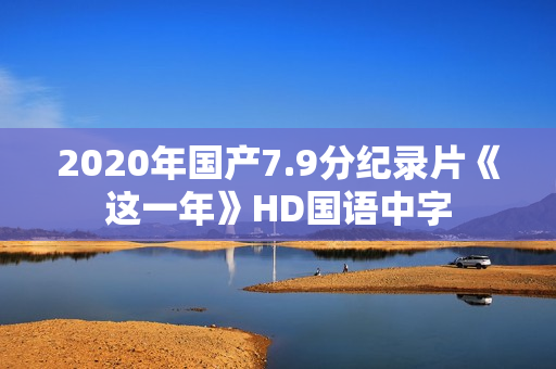 2020年国产7.9分纪录片《这一年》HD国语中字