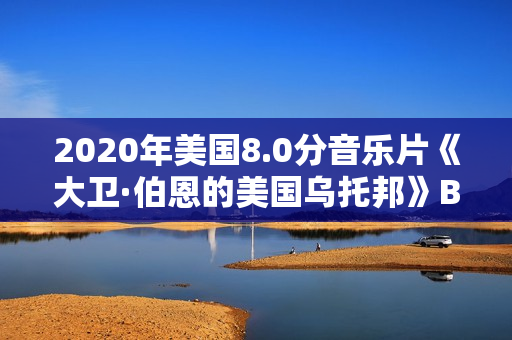 2020年美国8.0分音乐片《大卫·伯恩的美国乌托邦》BD中英双字