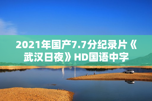 2021年国产7.7分纪录片《武汉日夜》HD国语中字