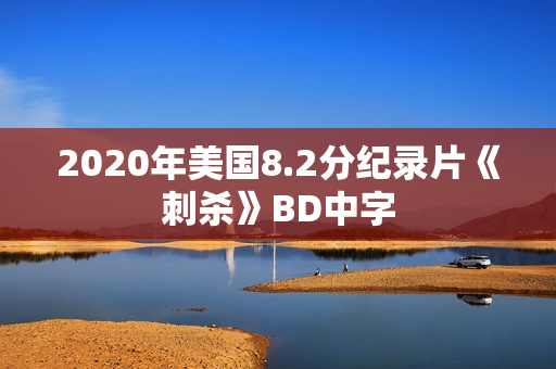 2020年美国8.2分纪录片《刺杀》BD中字
