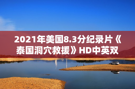 2021年美国8.3分纪录片《泰国洞穴救援》HD中英双字