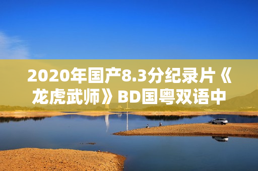 2020年国产8.3分纪录片《龙虎武师》BD国粤双语中字