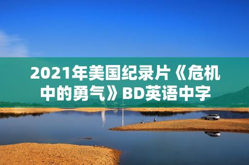 2021年美国纪录片《危机中的勇气》BD英语中字