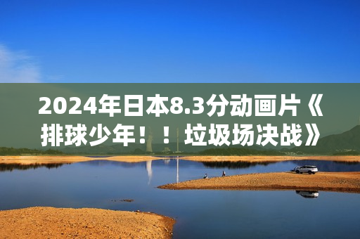 2024年日本8.3分动画片《排球少年！！垃圾场决战》BD日语中字