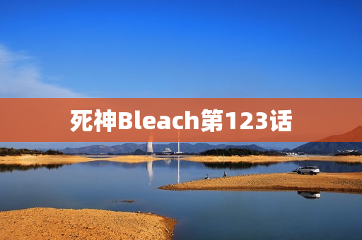 死神Bleach第123话
