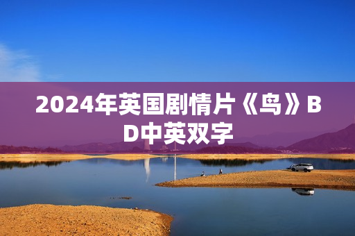 2024年英国剧情片《鸟》BD中英双字