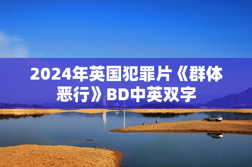 2024年英国犯罪片《群体恶行》BD中英双字