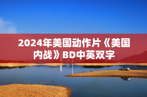 2024年美国动作片《美国内战》BD中英双字