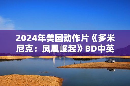 2024年美国动作片《多米尼克：凤凰崛起》BD中英双字