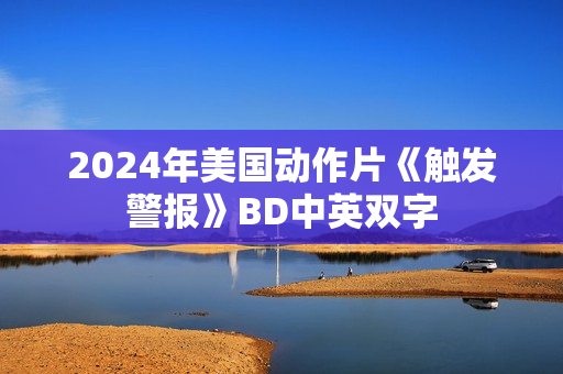 2024年美国动作片《触发警报》BD中英双字