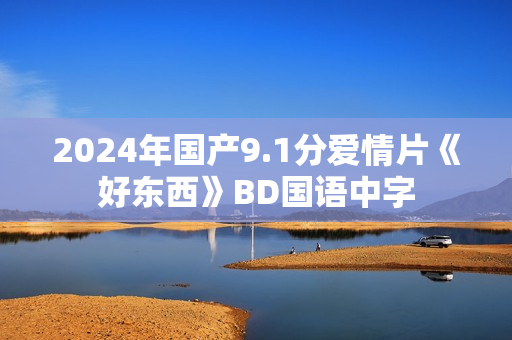 2024年国产9.1分爱情片《好东西》BD国语中字